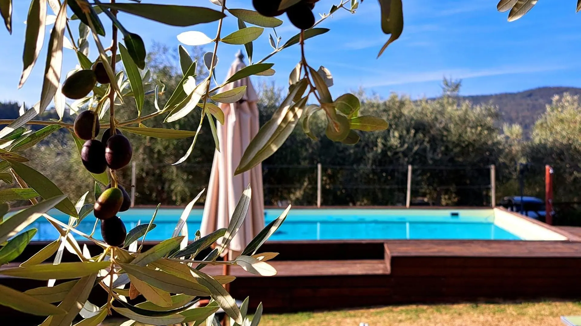 Villa Guarnaschelli Scandicci Farm stay